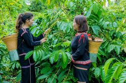 Trụ vững, phát triển nhờ nguồn vốn từ Agribank