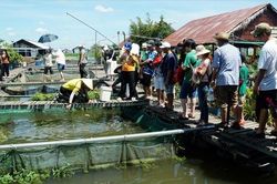 Lão nông cả đời bảo tồn cá quý trên dòng Mê Kông