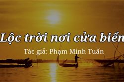 Tản văn hay: Lộc trời nơi cửa biển