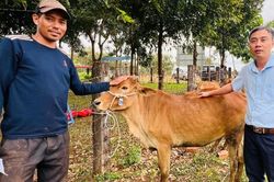 Đức Cơ tập trung nguồn lực cho công tác giảm nghèo