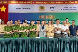 Ký kết quy chế phối hợp bảo đảm an toàn giao thông trong vụ thu hoạch mía