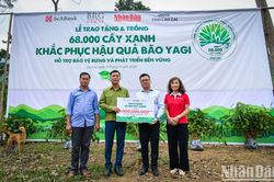 Báo Nhân Dân trồng hàng chục nghìn cây xanh hỗ trợ sinh kế bà con Làng Nủ