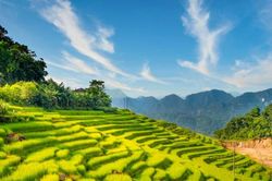Thời tiết Hà Tĩnh, Thanh Hóa ngày 20/11: Trời lạnh, mưa nhỏ vài nơi