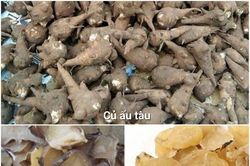 Tê bì chân tay sau khi dùng củ ấu tàu chữa bệnh