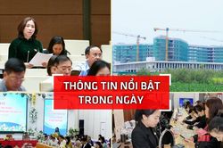Nghệ An: Thông tin nổi bật ngày 20/11