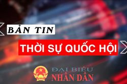 Bản tin Thời sự Quốc hội ngày 20.11.2024