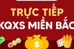 Trực tiếp kết quả xổ số miền Bắc hôm nay 21/11//2024