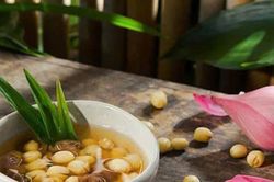 Nghệ An sắp diễn ra Lễ hội Ẩm thực Sen