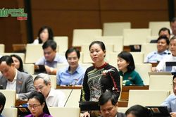 Nhà giáo không muốn ngành mình có ưu ái bất thường