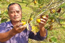 Những nông dân tiêu biểu trong sản xuất, kinh doanh giỏi