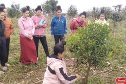 Đào tạo nghề gắn với việc làm ổn định cho người nghèo