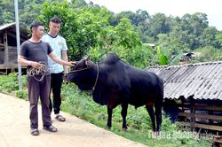 Chủ động triển khai đồng bộ có hiệu quả công tác phòng, chống dịch bệnh gia súc, gia cầm và thủy sản