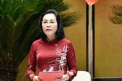 Thông qua Luật sửa đổi, bổ sung một số điều của Luật Dược
