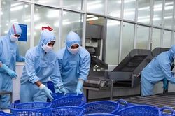 Nửa đầu tháng 11, xuất khẩu thu về hơn 16 tỷ USD, nhập khẩu ô tô tăng vọt