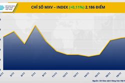 Thị trường hàng hóa: MXV-Index tăng phiên thứ 4 liên tiếp, giá cà phê lập đỉnh
