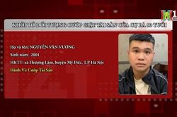Khởi tố đối tượng cướp giật tài sản của cụ bà
