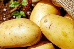 Bất ngờ cách ăn khoai tây để giảm cân ít người biết