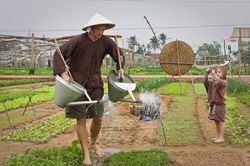 Quảng Nam đăng cai Hội nghị quốc tế về Du lịch nông thôn của Liên Hợp Quốc