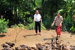 Tiếp sức thoát nghèo từ mô hình nuôi vịt bầu Quỳ thương phẩm ở Con Cuông