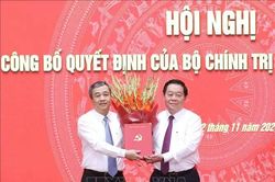 Bí thư Tỉnh ủy Thái Bình Ngô Đông Hải được bổ nhiệm giữ chức Phó Trưởng Ban Tuyên giáo Trung ương