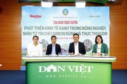 Carbon cây rừng hấp thụ là nguồn tài chính bền vững