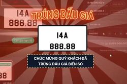 Đại gia Việt chi 8,68 tỷ đồng, tậu biển số 14A-888.88