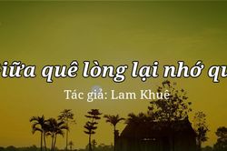 Tản văn hay: Giữa quê lòng lại nhớ quê