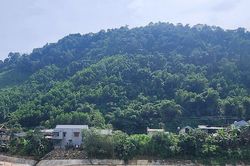 Thanh Hóa: Công nhận kết quả trúng đấu giá quyền khai thác khoáng sản mỏ đất làm vật liệu san lấp tại xã Yên Lạc