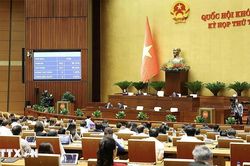 Kỳ họp thứ 8, Quốc hội khóa XV: Thông qua Luật Di sản văn hóa (sửa đổi)