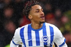 Món hời mới của Brighton