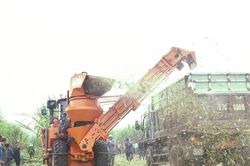 Công ty cổ phần Mía đường Sông Con sẵn sàng cho vụ ép mới