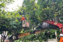 Nghệ An tăng cường xử lý vi phạm hành lang an toàn lưới điện