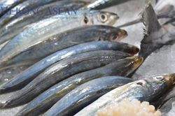 Thủy sản xuất khẩu phục hồi ở tất cả mặt hàng chủ lực