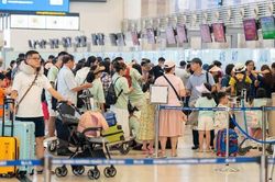 Các hãng hàng không tăng chuyến phục vụ hành khách dịp Tết