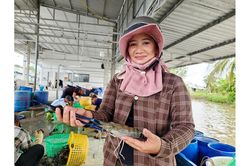 Vĩnh Thuận vươn mình giàu đẹp