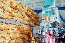 Giá lúa gạo hôm nay 25/11/2024: Tiếp tục đi ngang