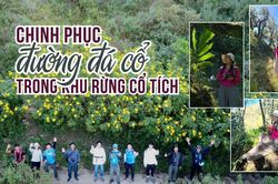 Chinh phục đường đá cổ trong khu rừng cổ tích