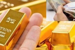 Giá vàng hôm nay (25/11): Dự báo sẽ tăng tiếp sau chuỗi ngày liên tục 'leo dốc'