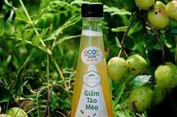 'Đại sứ OCOP' trên miền Tây Bắc