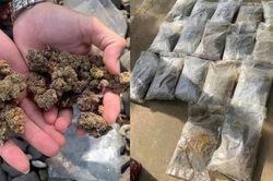 Quảng Ngãi: 17 túi ni-lông chứa thảo mộc khô nghi ma túy dạt vào bờ biển