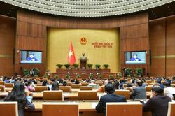 Chính thức bỏ thủ tục chuyển tuyến với bệnh hiếm, bệnh hiểm nghèo
