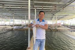 Hiệu quả mô hình nuôi cá tầm ở Trung Sơn