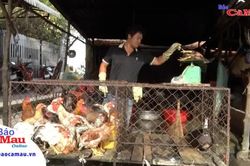Tín dụng chính sách – Chìa khoá giảm nghèo bền vững