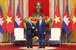 Chủ tịch nước Lương Cường và Quốc vương Campuchia Norodom Sihamoni hội đàm