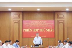 Sự thúc bách của 'cuộc cách mạng'