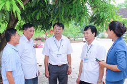 Thời điểm hoàn thành sắp xếp, giải quyết chế độ cho cán bộ dôi dư sau sáp nhập cấp huyện, xã ở Nghệ An