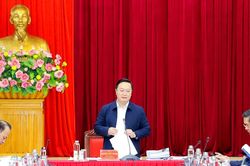Ban Thường vụ Tỉnh ủy Nghệ An họp phiên thường kỳ tháng 11/2024