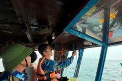 Nghệ An xử phạt 254 chủ tàu cá vi phạm sau 4 tháng ra quân cao điểm