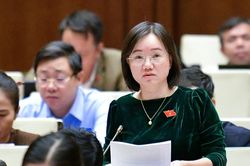 Đại biểu Quốc hội đoàn Nghệ An thảo luận về sửa đổi, bổ sung Luật Tiêu chuẩn và Quy chuẩn kỹ thuật