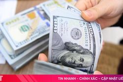 Tỷ giá USD hôm nay 28/11/2024: Tiếp đà giảm?